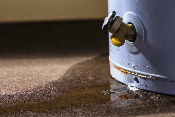 Best Water damage restoration company  in Saratoga, WY