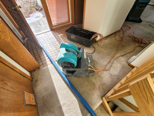 Best Flooded house restoration  in Saratoga, WY