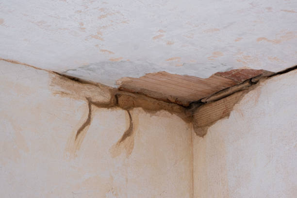 Best Water damage cleanup near me  in Saratoga, WY