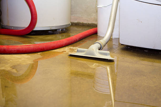 Best Fire Damage Restoration  in Saratoga, WY