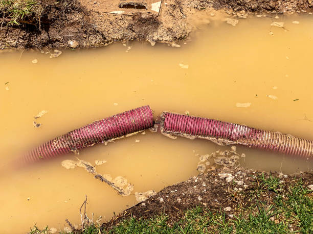 Best Basement water damage restoration  in Saratoga, WY