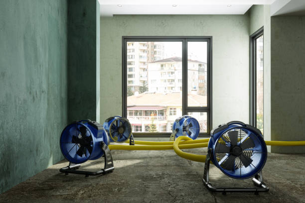 Best Carpet water damage restoration  in Saratoga, WY